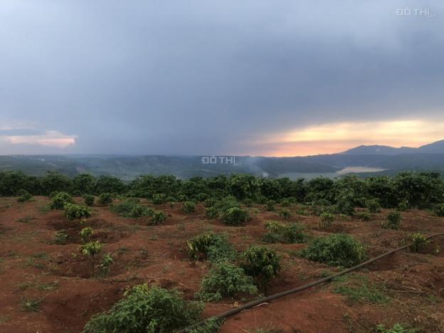 Chính chủ bán lô đất 6,2 sào view sông Đồng Nai (hồ Di Lâm) tuyệt đẹp, mặt tiền đường bê tông 6m 13678217