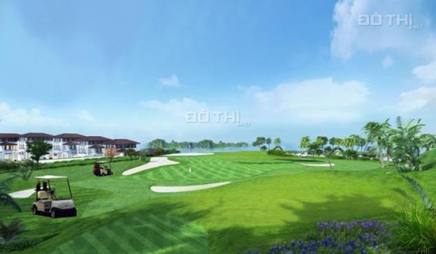 Biệt thự trên đồi sân golf tập đoàn FLC 13680125