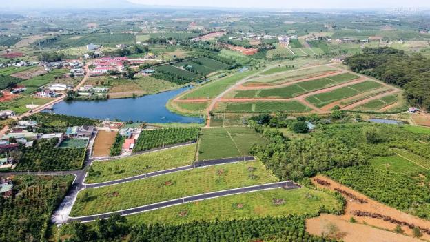 Chỉ từ 1.4 tỷ sở hữu ngay một lô đất view hồ và đồi chè ở Bảo Lộc 13660055