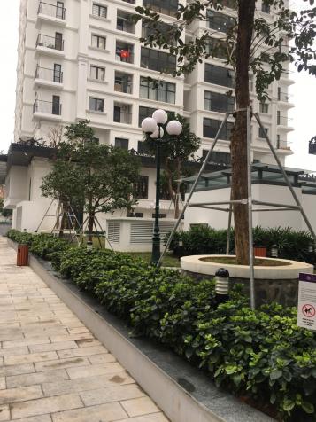 BQL dự án chung cư Iris Garden, Nam Từ Liêm, Hà Nội cho thuê 20 căn hộ cao cấp từ 2-3PN. 0937466689 13680808