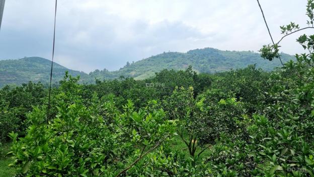 Bán đất trang trại Cao Phong DT 6200m2 view hồ 13682892