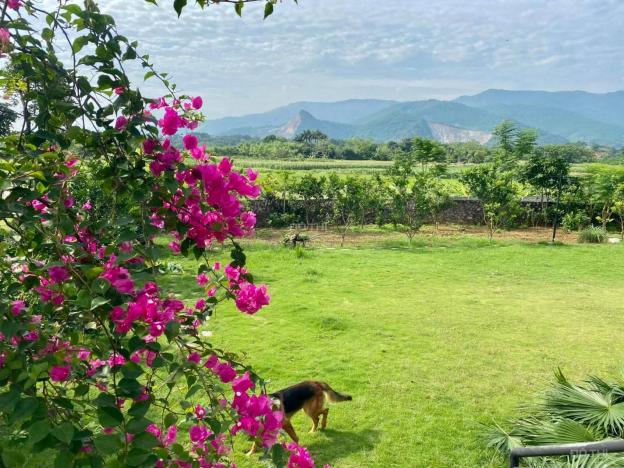 Cần chuyển nhượng căn biệt thự nghỉ dưỡng tuyệt đẹp Lương Sơn, Hòa Bình 13684055