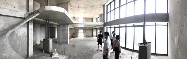Penthouse Duplex Five Star Kim Giang - 2x tr/m2 - diện tích 240 - 300m2 13686040