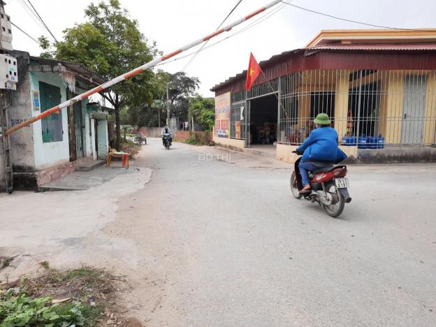 Bán đất phân lô xã Quang Hưng, An Lão cách Tràng Duệ 4km giá từ 495tr/lô 13687237