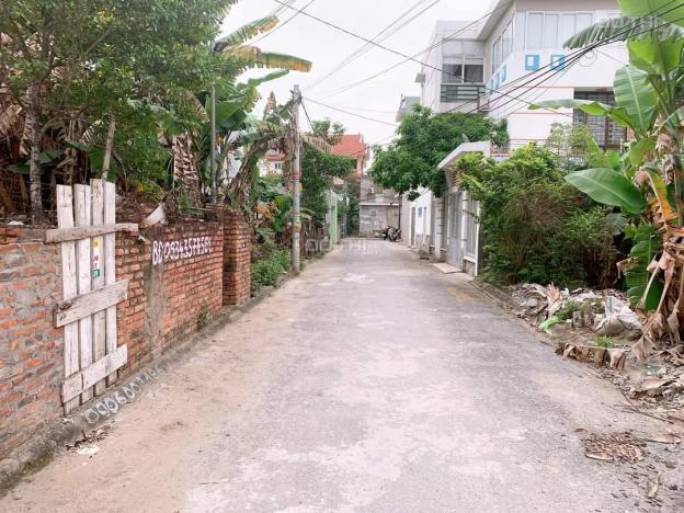 Bán lô đất giá cực đẹp cho khách đầu tư tại Cái Tắt, An Dương, Hải Phòng 13687523