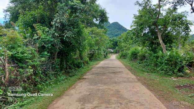 Bán đất Tân Lạc siêu phẩm 7000m2 có 400m2 thổ cư, có nhà, có ao giá chỉ nhỉnh 1 tỷ 13689263