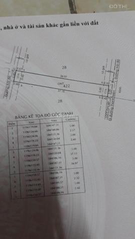 Chính chủ cần bán nền đất thổ 210m2 đường Thanh Niên, Bình Chánh 13691204