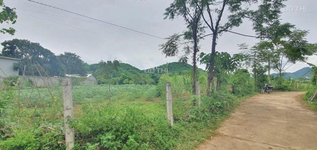 Bán nhanh lô đất thổ cư đẹp giá rẻ huyện Kim Bôi, Hoà Bình 13691956