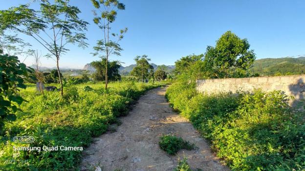 Bán đất Cao Phong 3000m đất vườn bằng phẳng view thoáng 13692196