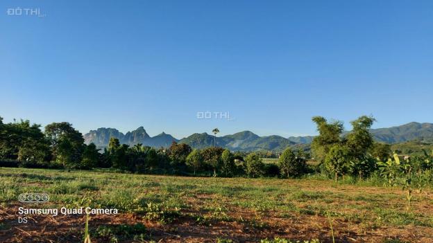 3000m2 full đất vườn nằm trong xã phát triển nhất Cao Phong, Hòa Bình view núi rừng Tây Bắc 13692391