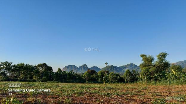 3000m2 full đất vườn nằm trong xã phát triển nhất Cao Phong, Hòa Bình view núi rừng Tây Bắc 13692391