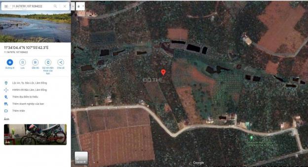 Bán đất tại đường Lý Thái Tổ, Xã Lộc An, Bảo Lâm, Lâm Đồng diện tích 3923m2 giá 1.3 triệu/m2 13693091