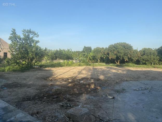 Bán lô đất 100% thổ cư sát khu công nghiệp Tràng Duệ (gd3) tại Bát Trang, An Lão, HP 13704025