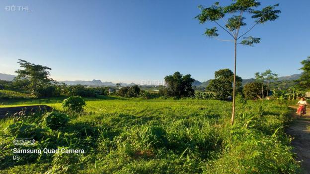 Bán đất Cao Phong 3000m2 toàn bộ là đất vườn, thế đất bằng phẳng view thoáng. Giá đầu tư 13706210