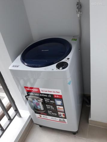 Cho thuê căn hộ 1PN 1 toilet vừa ở vừa làm việc Botanica Premier 13708011