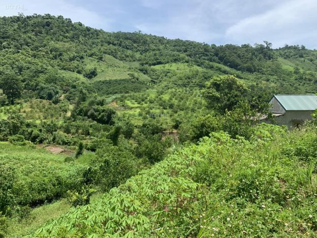 Chính chủ cần bán 1ha có 400m2 đất thổ cư còn lại là đất vườn ở Bắc Phong - Cao Phong, view thoáng 13708496