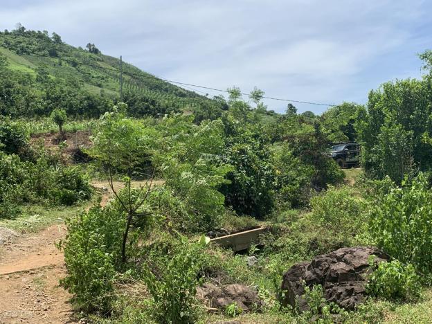 Chính chủ cần bán 1ha có 400m2 đất thổ cư còn lại là đất vườn ở Bắc Phong - Cao Phong, view thoáng 13708496