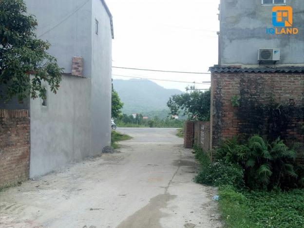 Em bán đất 3 mặt tiền. Đường rộng ô tô vào tận đất, tại Ninh Môn, xã Hiền Ninh 13781786