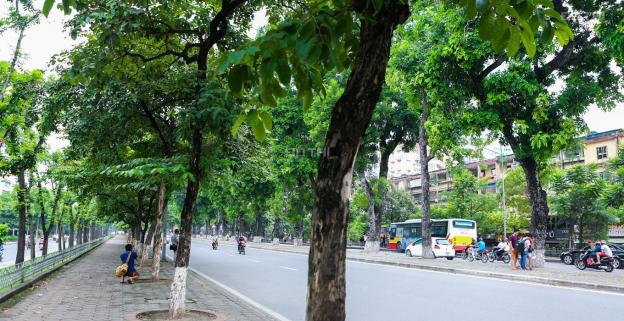 Bán nhà mặt phố tại phố Kim Mã, Phường Kim Mã, Ba Đình, Hà Nội diện tích 150m2 giá 60 tỷ 13712519
