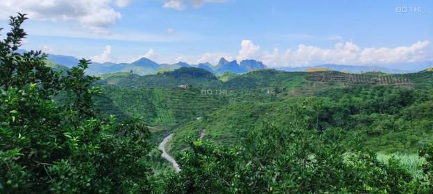 Cần bán mảnh đất hơn 8000m2 rsx tại Thu Phong, Cao Phong 13715924