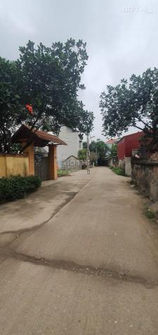 Bán mảnh đất trung tâm tại Đại Định, Tam Hưng đường xe tải, giá tốt 13718827