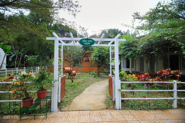 Bán 500m2 homestay nghỉ dưỡng, chính sách mới với 1 triệu đồng 13720870