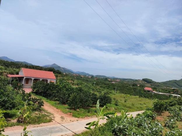 Lô đất 2 mặt tiền trung tâm xã Bình Sơn, Lục Nam, Bắc Giang 13732575