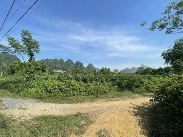 Bán nhanh 1768m2 đất thổ cư view đẹp giá rẻ tại Lương Sơn, Hòa Bình 13727587