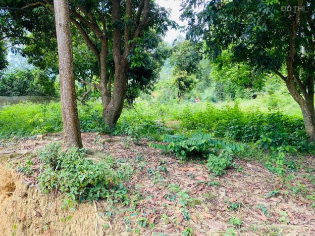 Bán đất làm nhà vườn gần sân golf Phượng Hoàng tại Lương Sơn, Hòa Bình 13728334