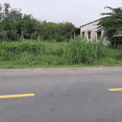 Cần bán đất vườn 1577m2 mặt tiền Nguyễn Thị Rành, xã An Nhơn Tây, huyện Củ Chi 13746108