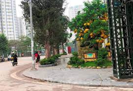 Mặt phố Tây Nam Linh Đàm, kinh doanh đỉnh, vỉa hè, ô tô tránh dừng đỗ ngày đêm 13742714