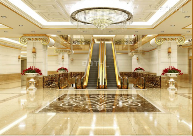 Mở bán dự án The Grand Hanoi - The Ritz - Carlton Hanoi - căn hộ siêu sang, số lượng giới hạn 13743933