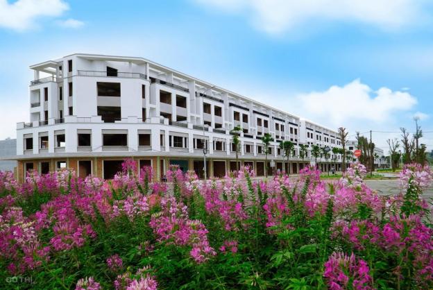 Bán đất nền dự án tại dự án KĐT Phú Mỹ - Quảng Ngãi, Quảng Ngãi, Quảng Ngãi DT 125m2 giá 1.1 tỷ 13744801