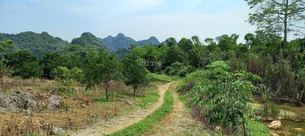 Siêu phẩm đất nghỉ dưỡng Kim Bôi, Hòa Bình như Mộc Châu thu nhỏ, suối chảy quanh năm 13759207