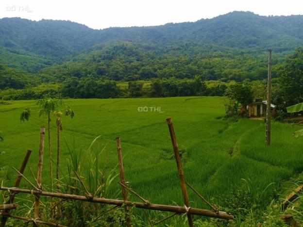Bán đất tại Xã Hợp Tiến, Kim Bôi, Hòa Bình diện tích 15865m2 giá 650 triệu 13771197