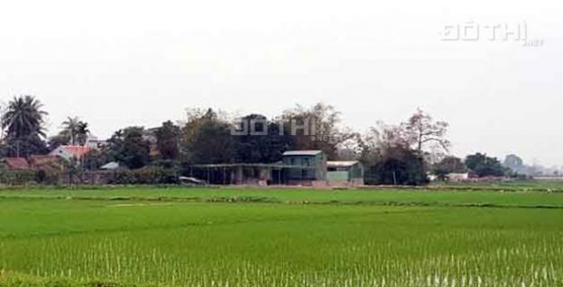 Bán đất đấu giá Mỹ Hạ Thanh Mai, cạnh ủy ban huyện Thanh Oai, hớn 2 tỷ 13771235