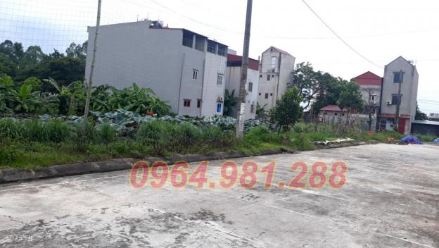 Chính chủ bán gấp lô đất gần bệnh viện huyện Gia Bình, Bắc Ninh 13772595