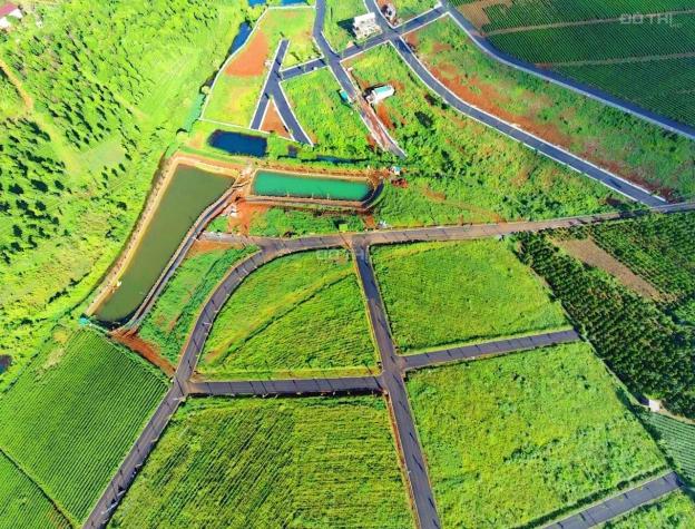 Bán gấp lô đất nghỉ dưỡng ở Lộc Tân đối diện đồi chè Tâm Châu, gần TP Bảo Lộc giá từ 699 triệu 13772907