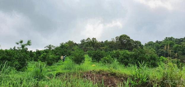 Bán đất Cao Phong 1.9ha 6000NT, view thung lũng, bám đường bê tông 13782855