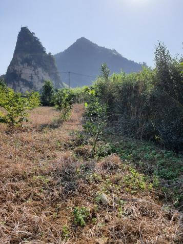 Đất đẹp giá Covid tại Lương Sơn - Hòa Bình 13782933
