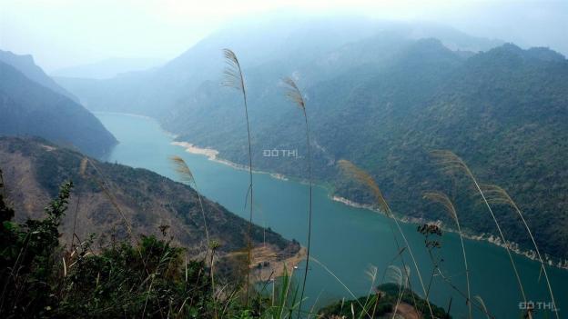 La Viena Valley - Tiềm năng sinh lời mạnh mẽ 13786416