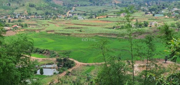 Chính chủ bán 5100m2 đất rừng sản xuất Bắc Phong, Cao Phong Hoà Bình, chỉ 550tr bao sổ. 0962830896 13802907