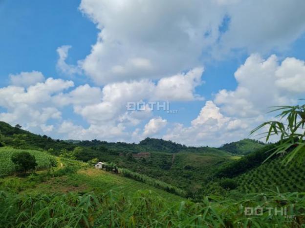 Lô đất 3000m2 đất RSX tại Cao Phong Hòa Bình bám trục liên xã giá cho các nhà đầu tư 13811057