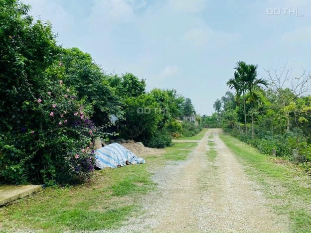 Bán đất nghỉ dưỡng có suối, có ao nằm trong quần thể làng biệt thự Hà Nội tại Đồng Cao Tiến Xuân 13812340