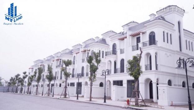 Chuyển nhượng biệt thự song lập Hải Âu 3 giá rẻ nhất thị trường Vinhomes Ocean Park 13813040