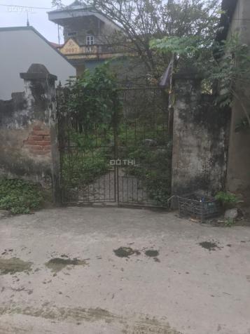 Bán đất tại đường 21B, Xã Thanh Văn, Thanh Oai, Hà Nội diện tích 50m2 13813771