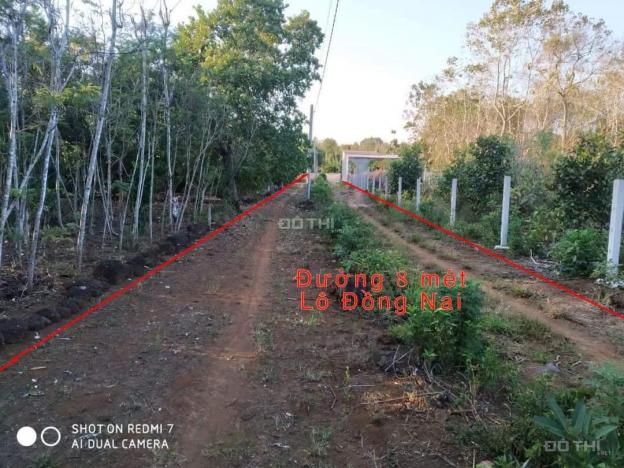 Cần tiền bán rẻ lô đất 1000m2 chỉ 600tr tại Định Quán, Đồng Nai 13814174