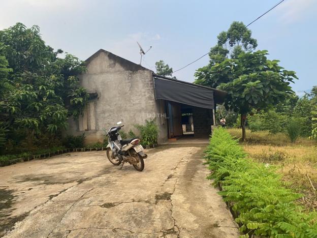 Bán đất tại Xã Nam Phong, Cao Phong, Hòa Bình diện tích 1850m2 giá 550 triệu 13814685