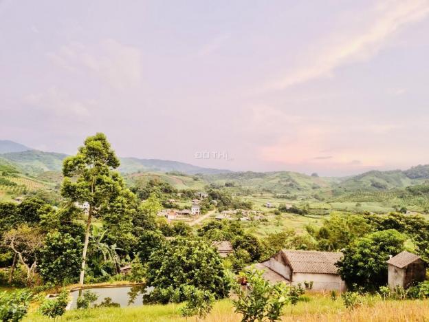 Bán đất tại Xã Nam Phong, Cao Phong, Hòa Bình diện tích 1850m2 giá 550 triệu 13814685