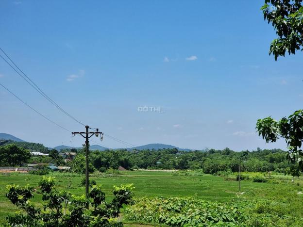 1400m2 đất vườn, view cánh đồng, Cư Yên, Lương Sơn, Hoà Bình 13817132